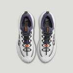 Nike ACG Mountain Fly 2 Low "Summit White“